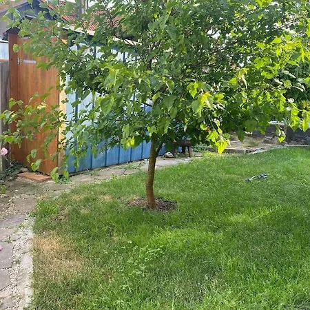 Ferienwohnung Sonnenschein شقة *